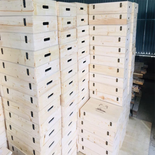 Tại sao gỗ thông được ứng dụng nhiều trong sản xuất hộp gỗ ?